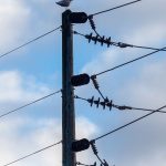 Fortis electricity rate increase of 6.74% approved