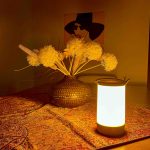 BC Hydro’s electricity shortage just got more serious